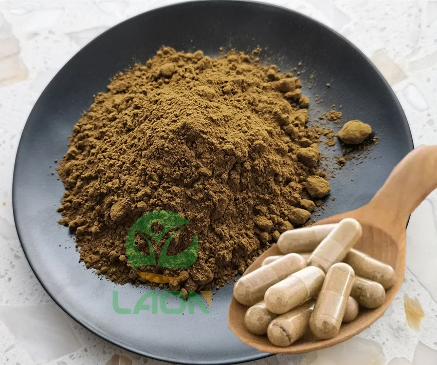 Natural Nutritional Supplement Noni Fruit Extract Powder