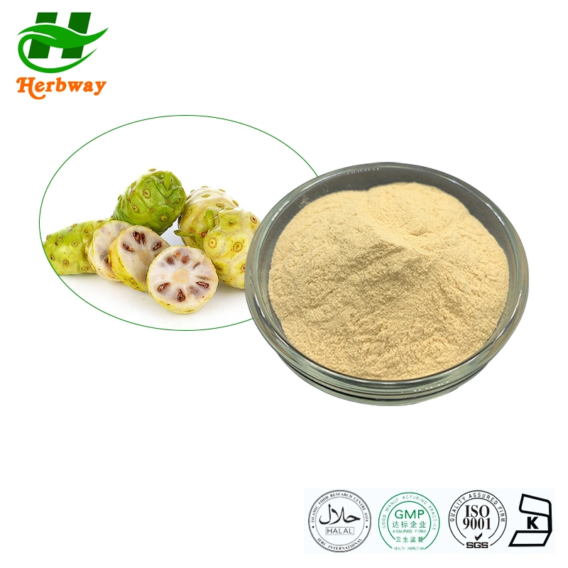 Natural Supplements Botanical Extract Food Additive High Quality Noni Powder Noni Fruit Powder Noni Extract Powder
