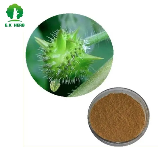 Plant Herbal Extract Protodioscin Total Saponins Powder Tribulus Terrestris Extract