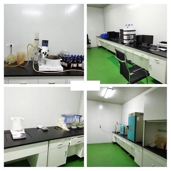 Spray Drying Orange Powder Natural Plant Extract