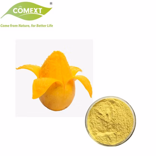 Free Sample Noni Fruit Juice Extract Powder in Bulk